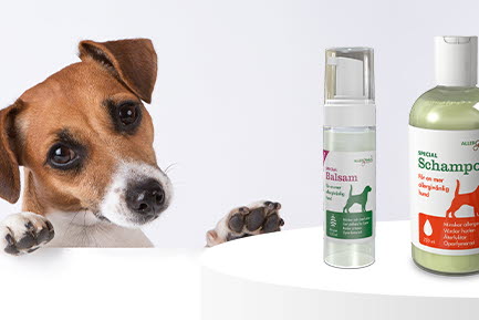 En hund tittar fram bakom en vit yta, med Allergenius produkter f&ouml;r hundv&aring;rd (balsam och schampo) synliga bredvid.